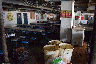 外媒報(bào)道引發(fā)關(guān)注 iPhone上海代工廠(chǎng)員工住宿服務(wù)引爭(zhēng)議